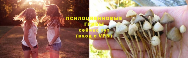 мескалин Арсеньев