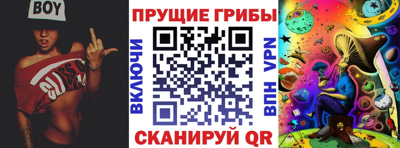 сколько стоит  Суровикино  Галлюциногенные грибы мицелий 